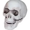 Mini Totenkopf Mit Beweglichem Kiefer