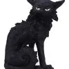 Salem Magierkatze 16,6cm