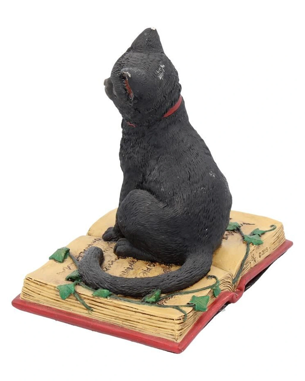 Schwarze Hexenkatze Mit Pentagramm – Bild 3